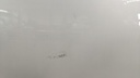 PXL_20240529_111043126.jpg