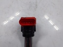 20240531_090606.jpg