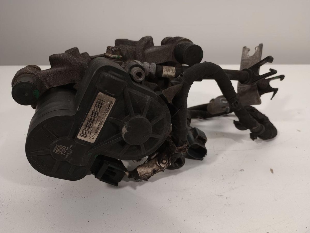 IMG_20240605_152704172.jpg