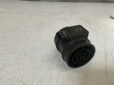 IMG_9994.jpeg