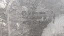 PXL_20240703_105955547.jpg