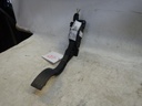 DSCN7910.JPG