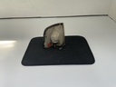 IMG_0467.jpeg