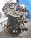 DSCN7331.JPG