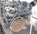 DSCN7377.JPG