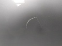 17222558475473098621667152737183.jpg