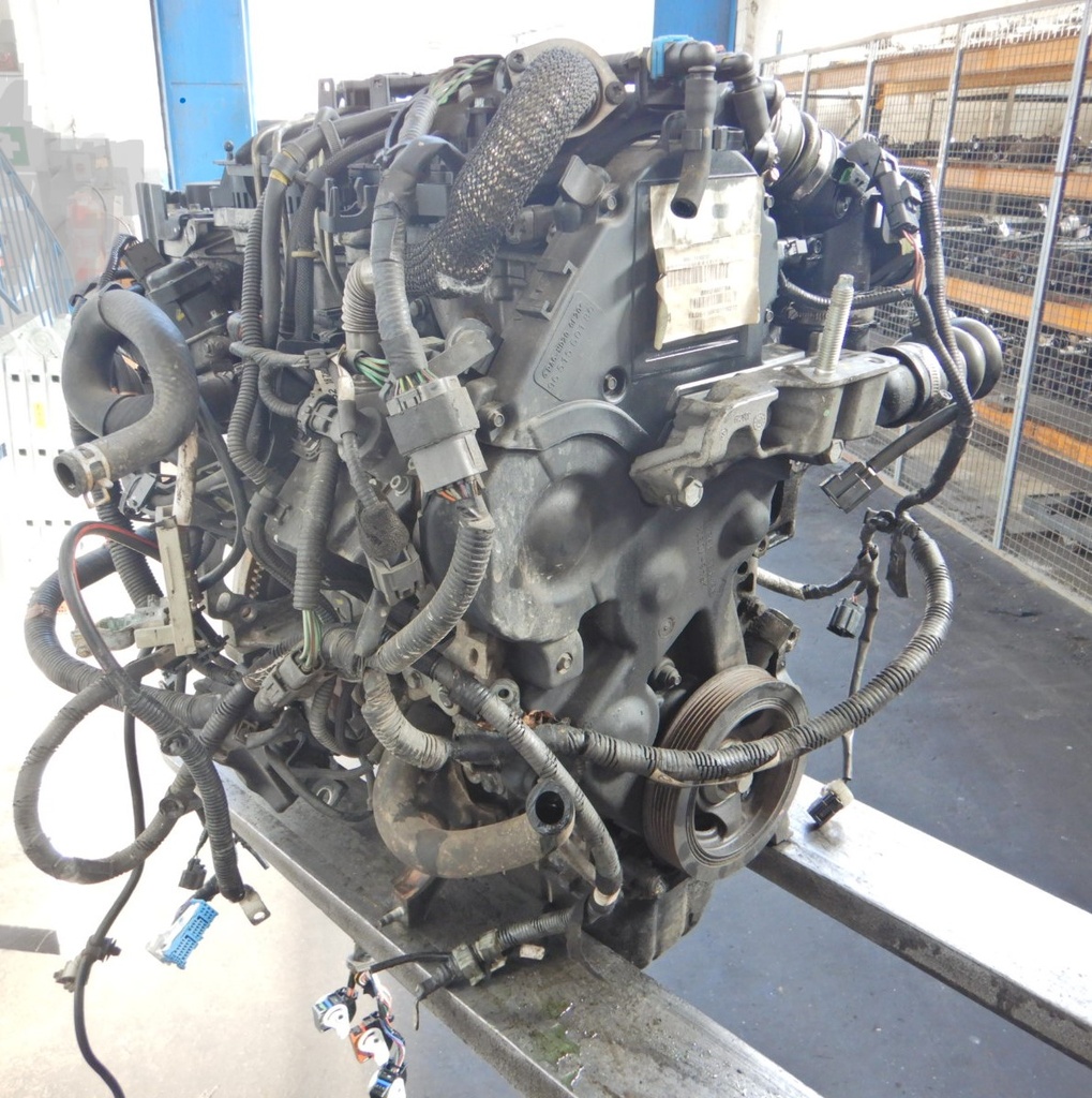 DSCN7482.JPG