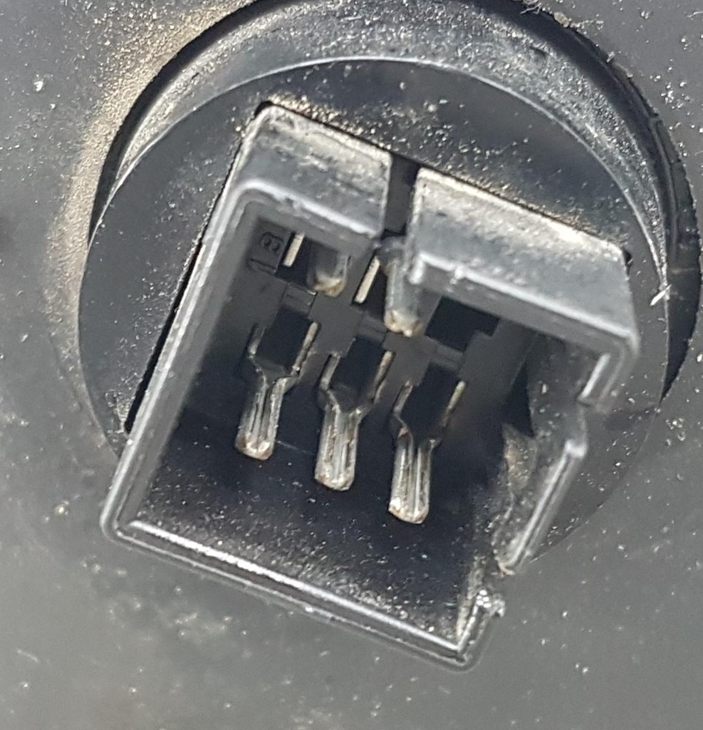 20240730_141822.jpg