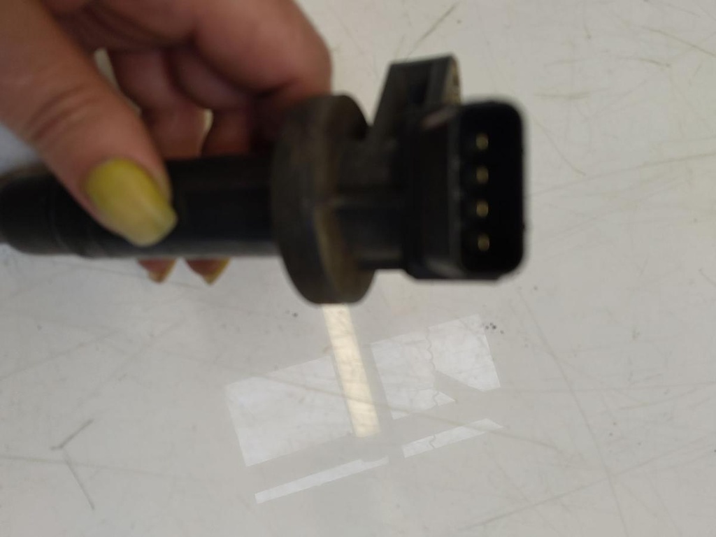 IMG_20240731_151419.jpg