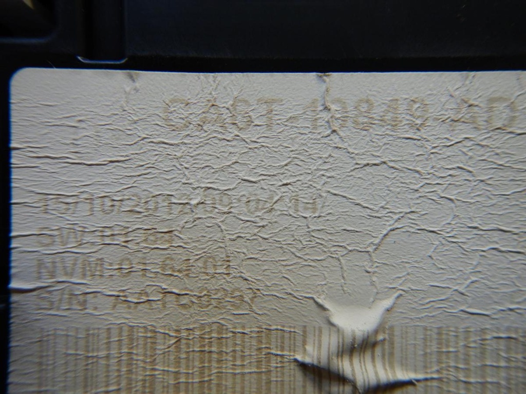 DSCN8440.JPG