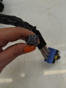 IMG_20240807_100000.jpg