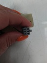 IMG_20240808_084932.jpg