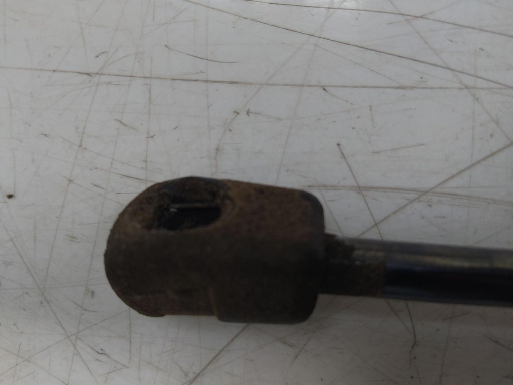 IMG_20240808_112920.jpg