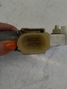 IMG_20240808_155610.jpg