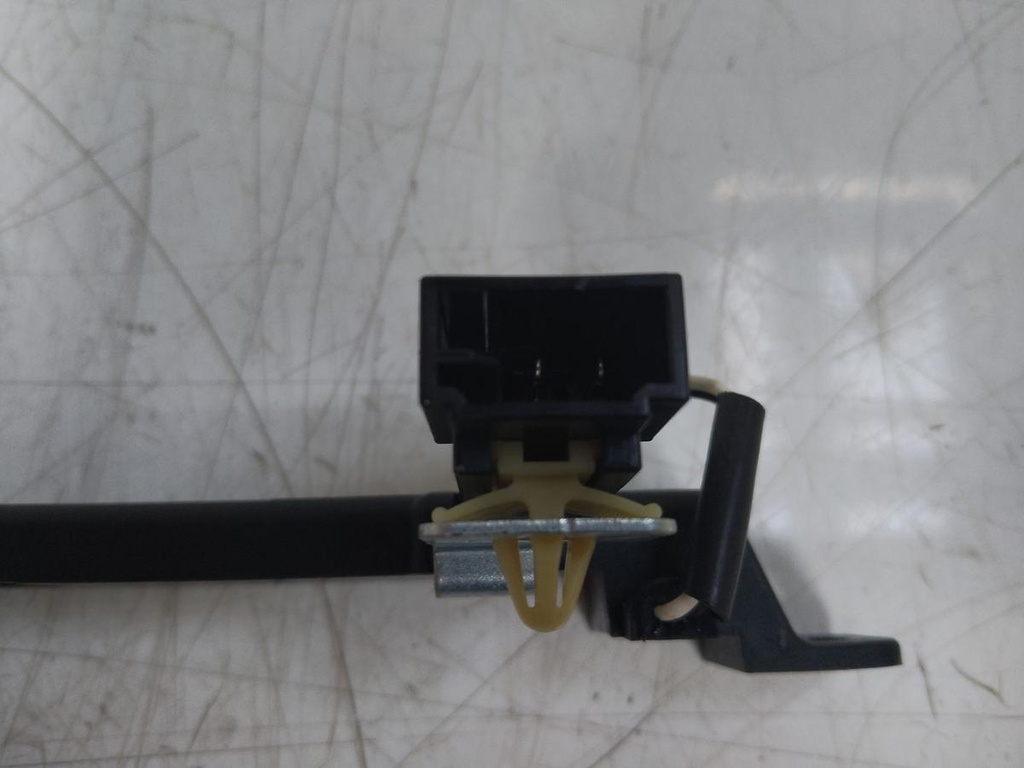 IMG_20240812_081406.jpg