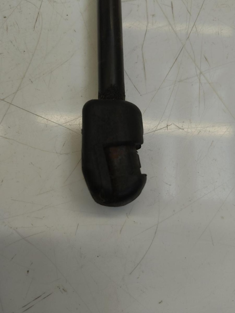 IMG_20240813_160527.jpg