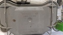 PXL_20240820_071955873.jpg
