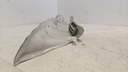 PXL_20240822_092004110.jpg
