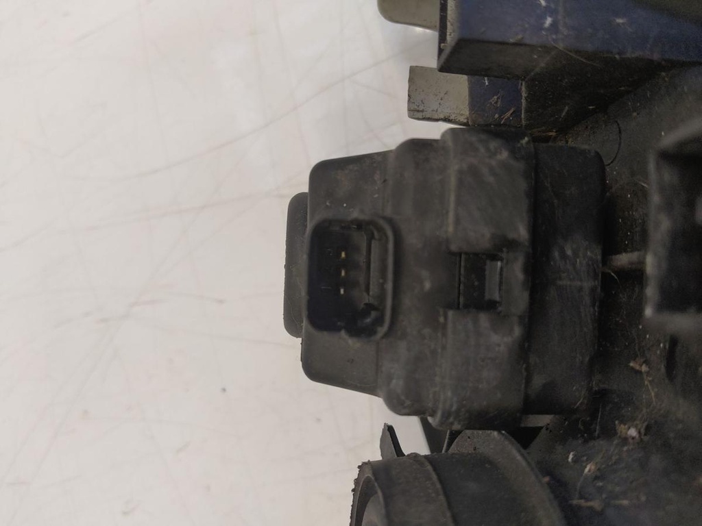 IMG_20240823_115057.jpg