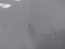 IMG_20240827_091103.jpg