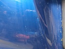 IMG_20240910_113806.jpg