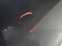 DSCN9303.JPG
