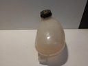 IMG_20240924_093226538.jpg