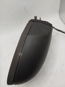 IMG_20240924_100621.jpg