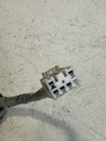 IMG_6505.JPEG