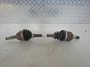 DSCN8113.JPG