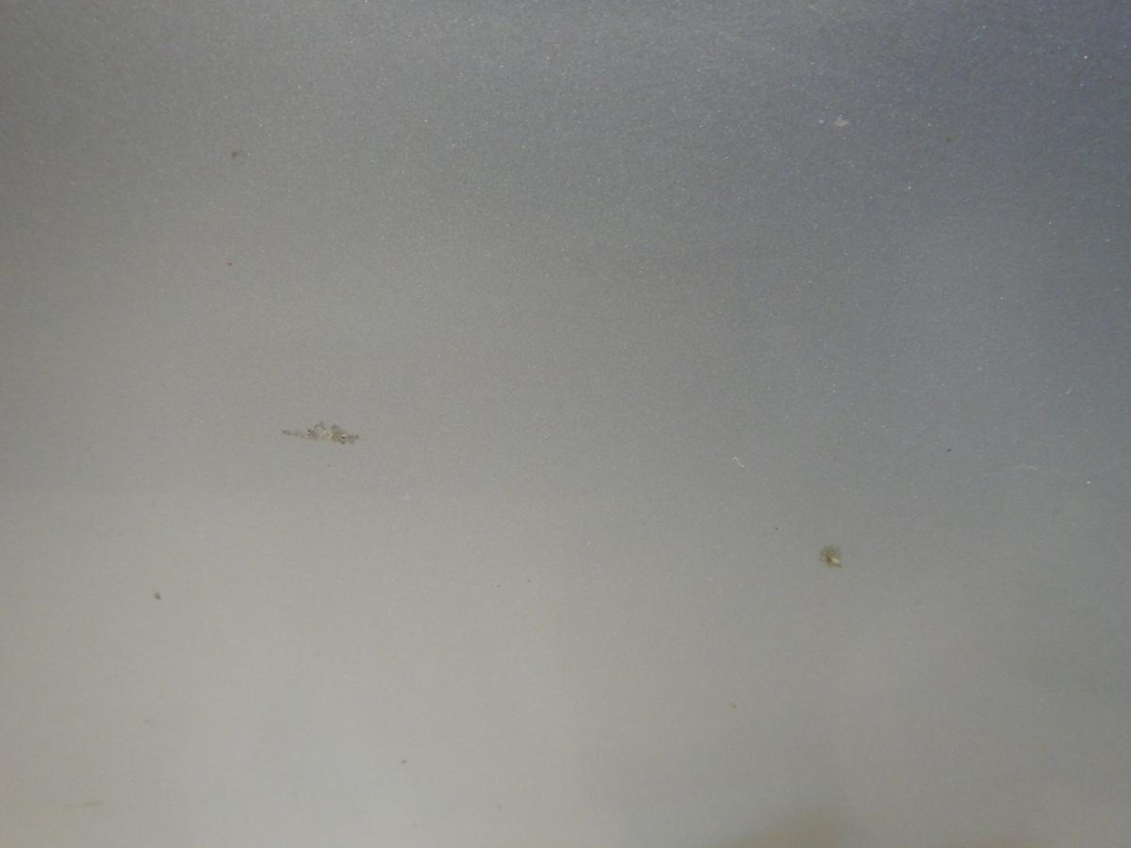 DSCN9839.JPG