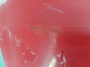 20241010_131642.jpg