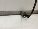 IMG_1725.jpeg