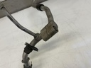 IMG_1731.jpeg