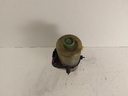 20241024_083502.jpg