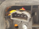 IMG_20241025_091848.jpg