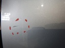 DSCN0452.JPG