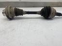 IMG_1843.jpeg