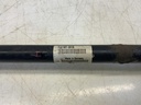 IMG_1900.jpeg