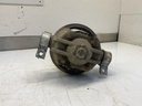 IMG_1890.jpeg