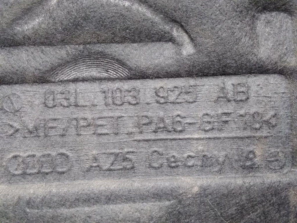 1730820515978312974246284753655.jpg