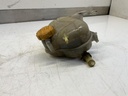 IMG_1998.jpeg