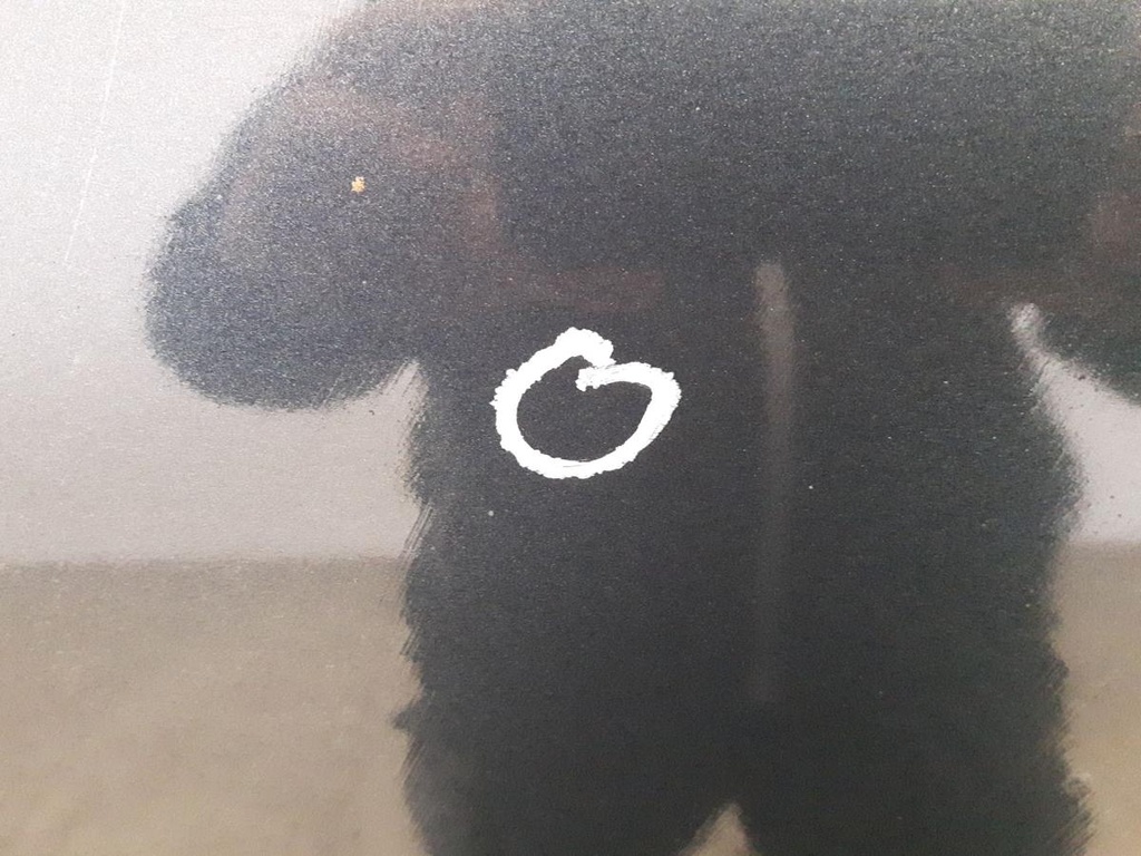 20241111_104636.jpg