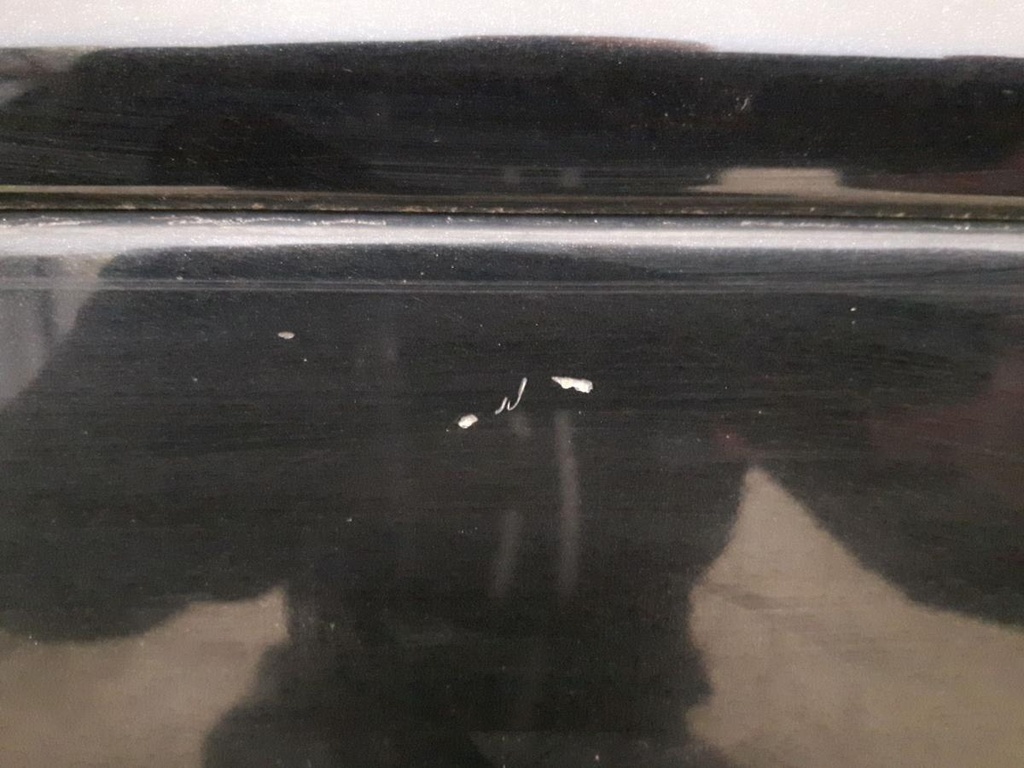 20241112_094237.jpg