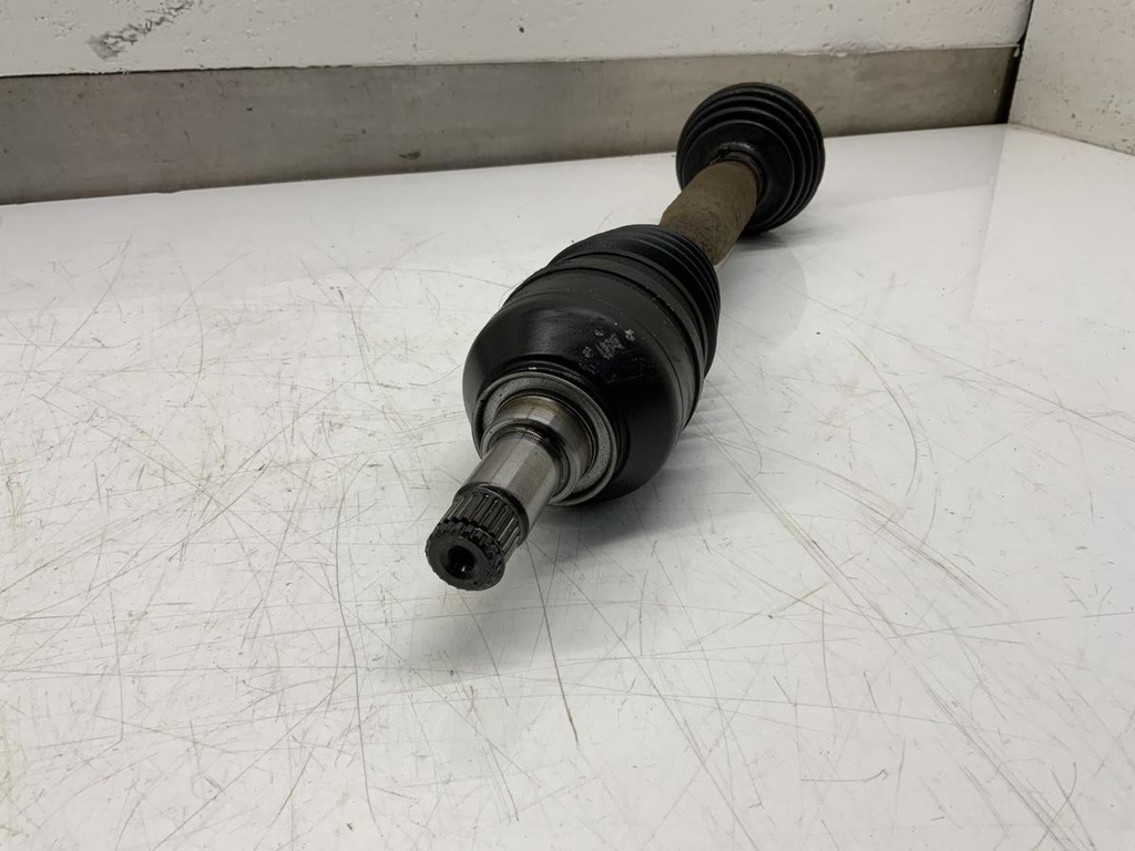IMG_2075.jpeg