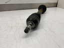 IMG_2075.jpeg