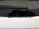 20241118_084909.jpg