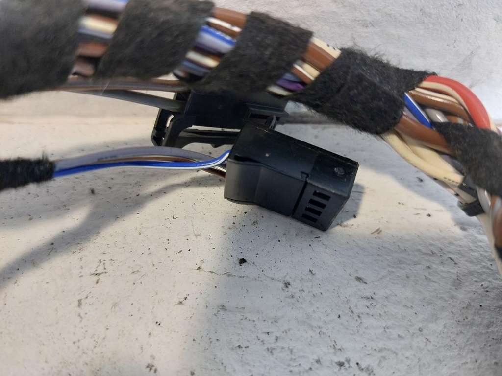 20241129_132902.jpg