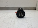 IMG_2212.jpeg