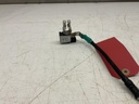 IMG_2260.jpeg